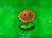 《植物大战僵尸》植物资料大全：向日葵