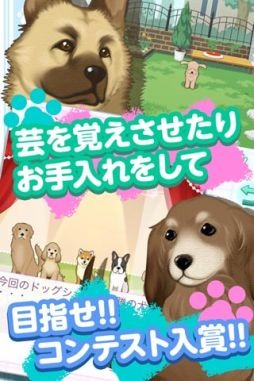 家有萌犬截圖3