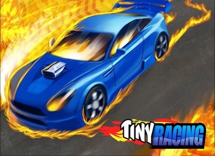 小小拉力赛 tinyRacing截图3