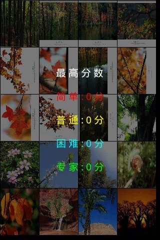 風(fēng)景拼圖之綠樹紅花截圖2