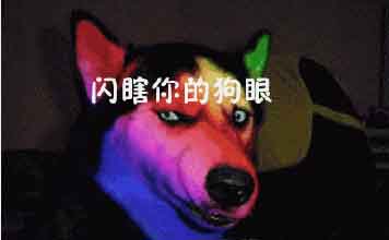 闪瞎你钛合金双眼 《黑夜传说》金装系统截图