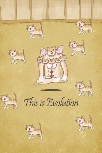 小猫进化大派对截图5
