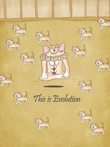 小猫进化大派对截图2