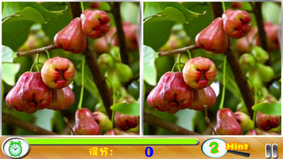 大家來玩找茬截圖2