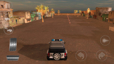 3D警车驾驶训练截图2