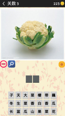 猜蔬菜单机游戏截图2