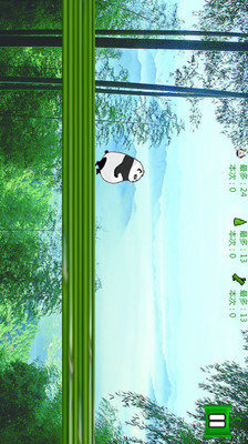天天熊猫酷跑截图4