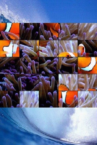 海洋生命拼圖 Ocean Life Puzzle截圖4