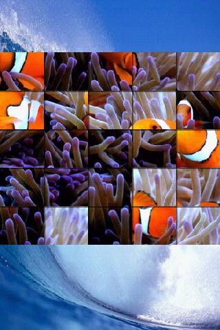 海洋生命拼圖 Ocean Life Puzzle截圖1