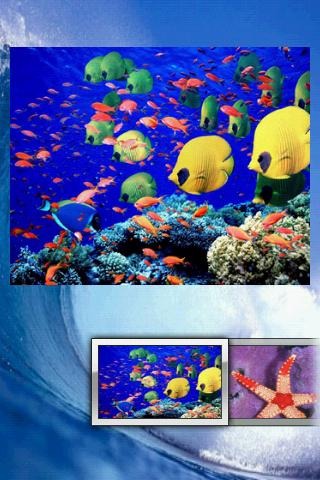 海洋生命拼圖 Ocean Life Puzzle截圖