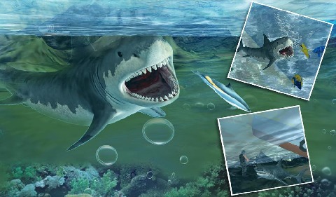 饥饿的大白鲨3D复仇_饥饿的大白鲨3D复仇攻