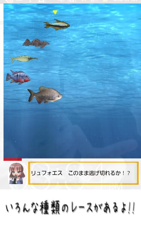古老的魚類包截圖2