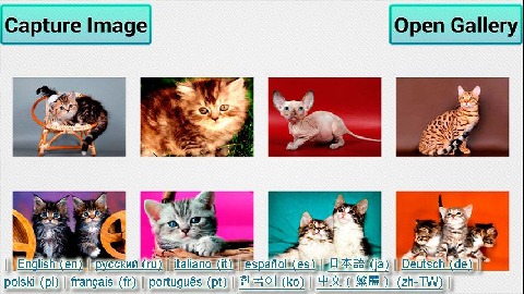 猫和小猫拼图截图2