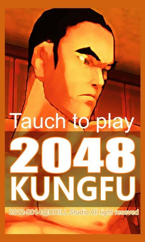 Kungfu 2048截图5