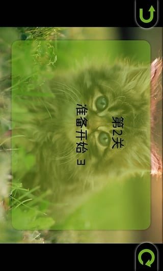 可爱小猫拼图截图2