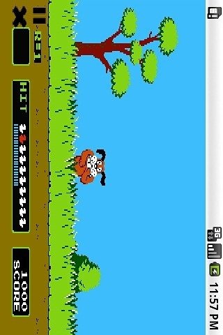 DuckHunt (打鴨子)截圖3