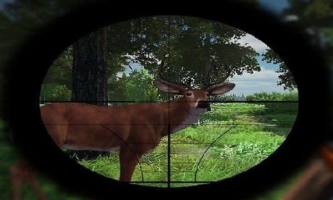 丛林狩猎鹿狙击手截图1