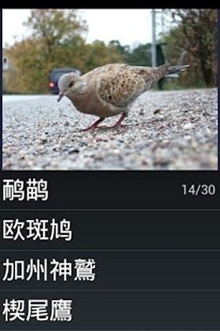 鳥物種瑣事問答游戲截圖3