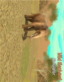 野生大象模拟截图3