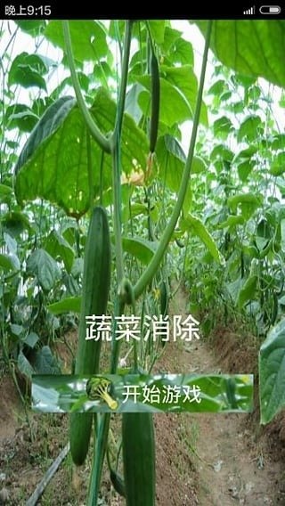 蔬菜消除截圖1