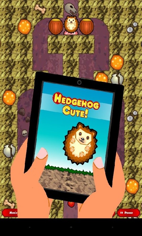 Hedgehog Cute (free with ads)截图5