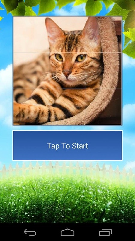 Cats Funny Puzzle截图3