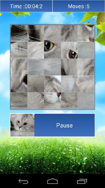 Cats Funny Puzzle截图