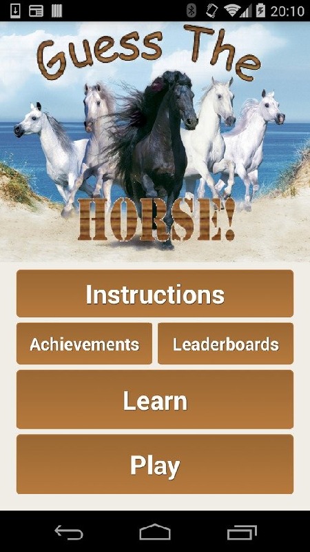 Guess The Horse!截图5