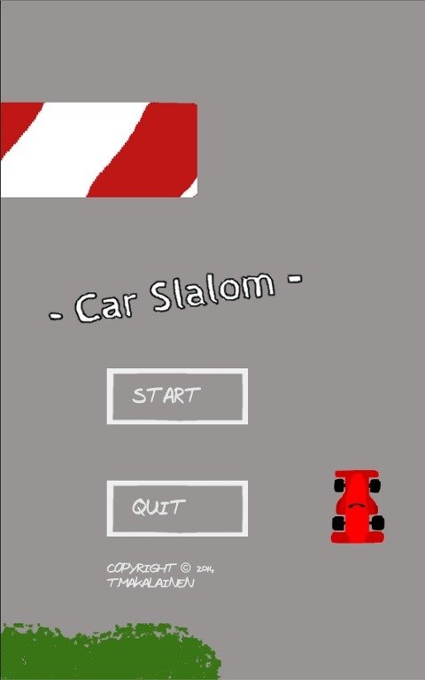 Car Slalom截图5