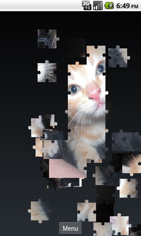 Cute Kittens Puzzle截图1