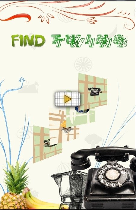 Find Twins截图4