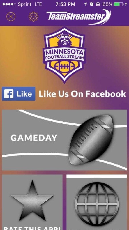 Minnesota Football STREAM截图5