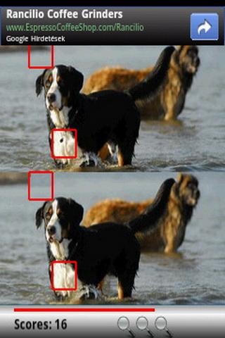 Find the Differences: Dogs截图5