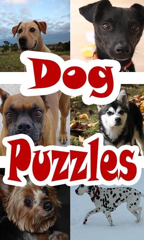 Sliding Dog Puzzles截图5