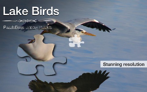 Lake Bird Jigsaw Puzzles截圖5
