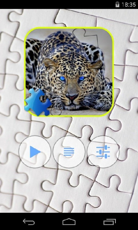 Leopard Jigsaw Puzzle截圖5