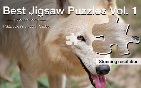 Best Jigsaw Puzzles Vol. 1截图5