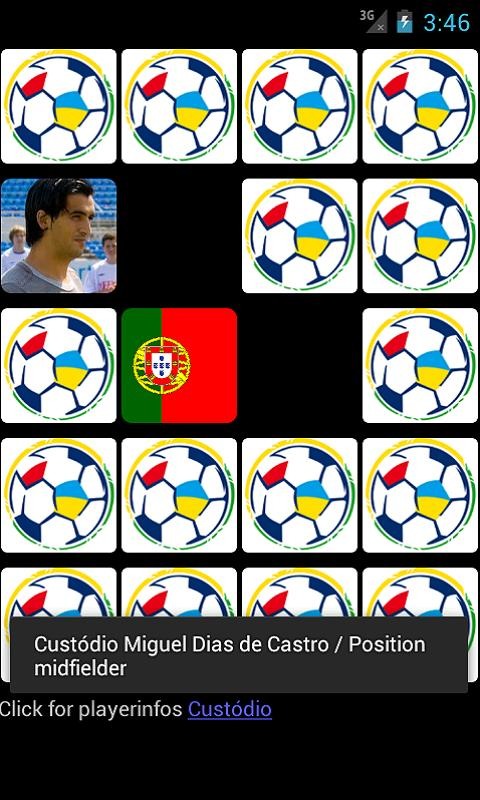 EURO2012 RaPiCa截图2