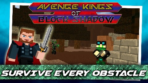 Avenge Kings of Block Shadow截圖5