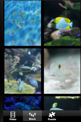 Ocean Fish Aquarium截图