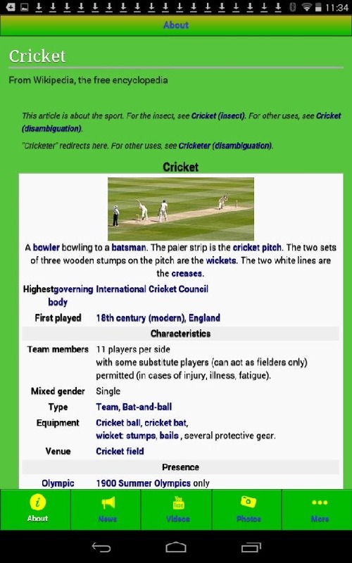 International Cricket截图4