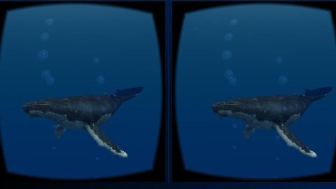 SeaWorld VR2截圖4