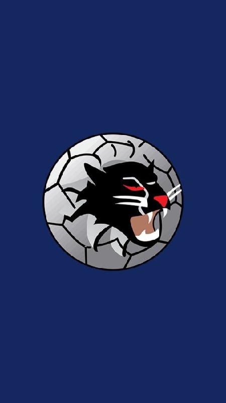 Woongarrah Wildcats FC截图5