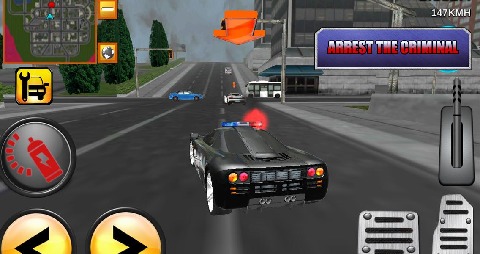 Crazy Driver Police Duty 3D截图1