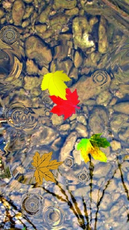 Toddler Game Water Ripple Leaf截图3