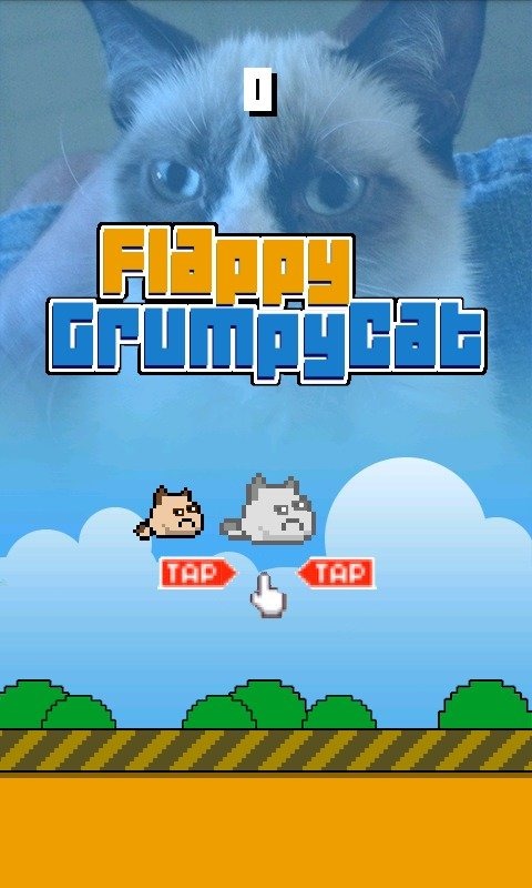 Flappy Grumpy Cat截图5