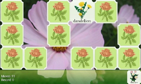 Flower Pairs截圖2