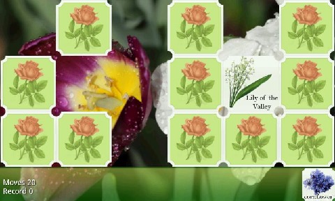 Flower Pairs截圖1