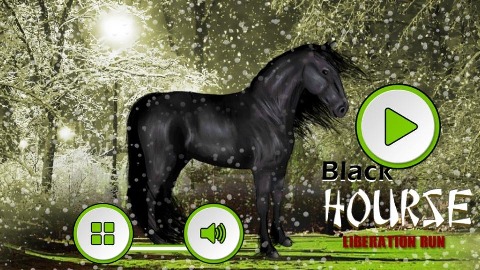 Black Horse Liberation Run截图5