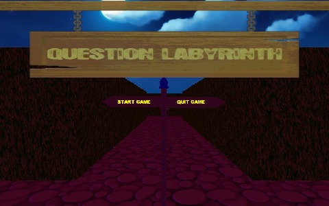 Question Labyrinth截图4